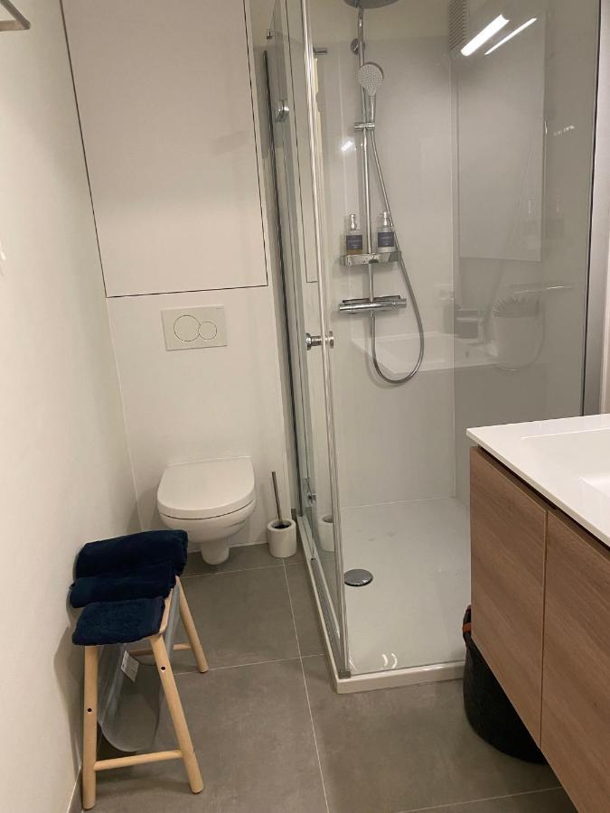 Cosy Studio Testerep , Newly Renovated オステンド エクステリア 写真